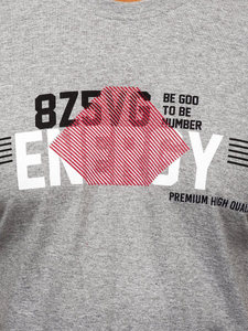 Tricou gri cu imprimeu bărbati Bolf 14333